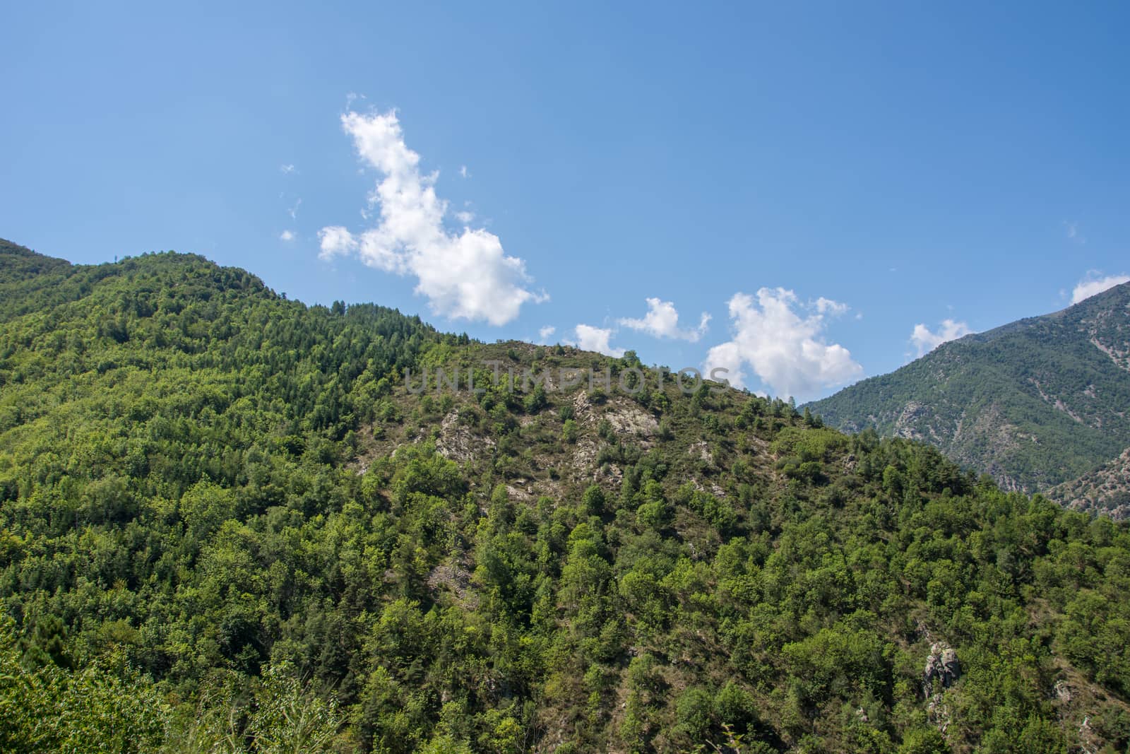 discovery of the eastern Pyrenes, its fauna and flora, region of France