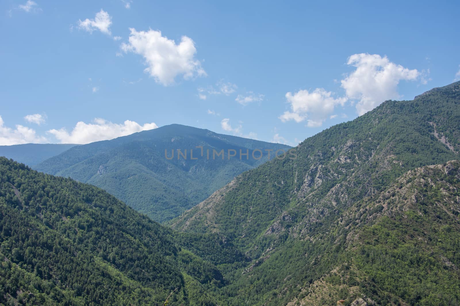 discovery of the eastern Pyrenes, its fauna and flora, region of France