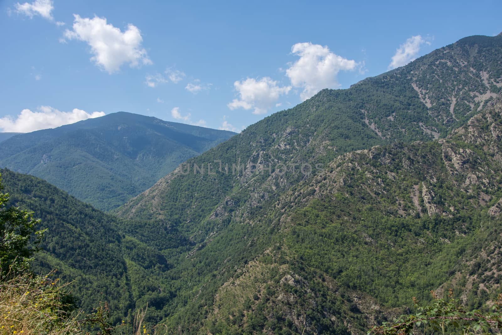 discovery of the eastern Pyrenes, its fauna and flora, region of France