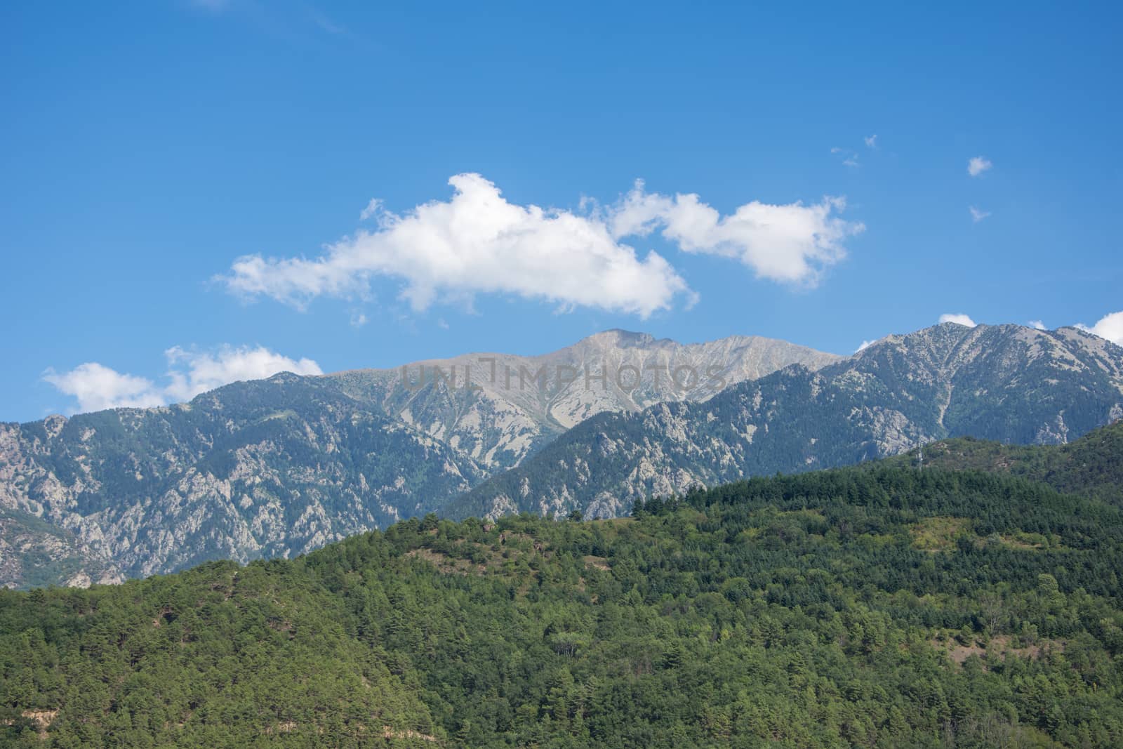 discovery of the eastern Pyrenes, its fauna and flora, region of France
