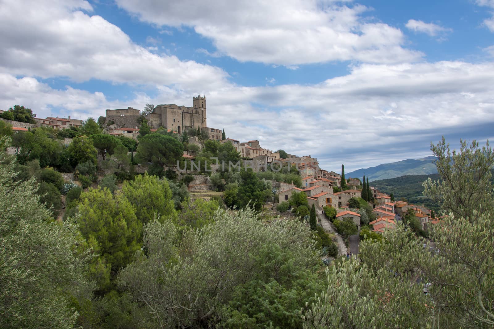 discovery of the eastern Pyrenes, its fauna and flora, region of France