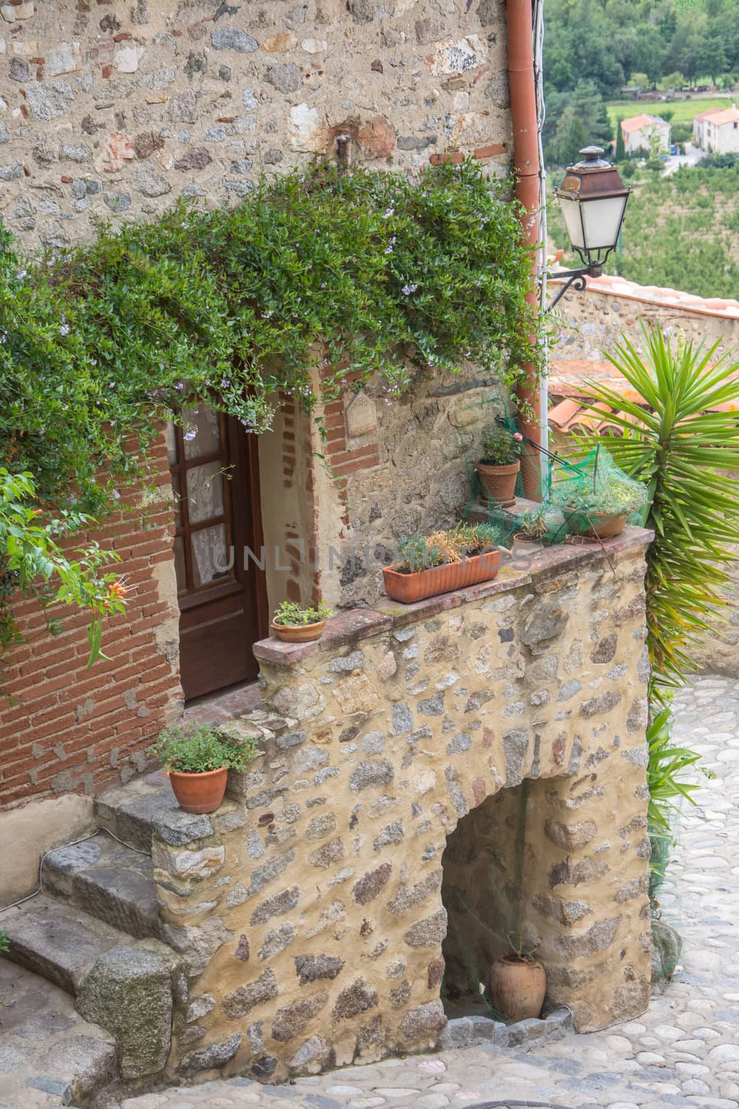 discovery of the eastern Pyrenes, its fauna and flora, region of France