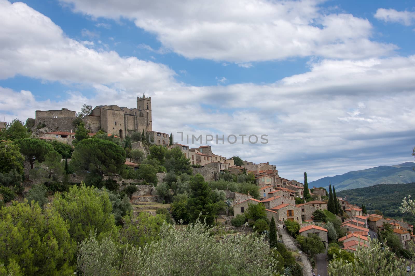 discovery of the eastern Pyrenes, its fauna and flora, region of France
