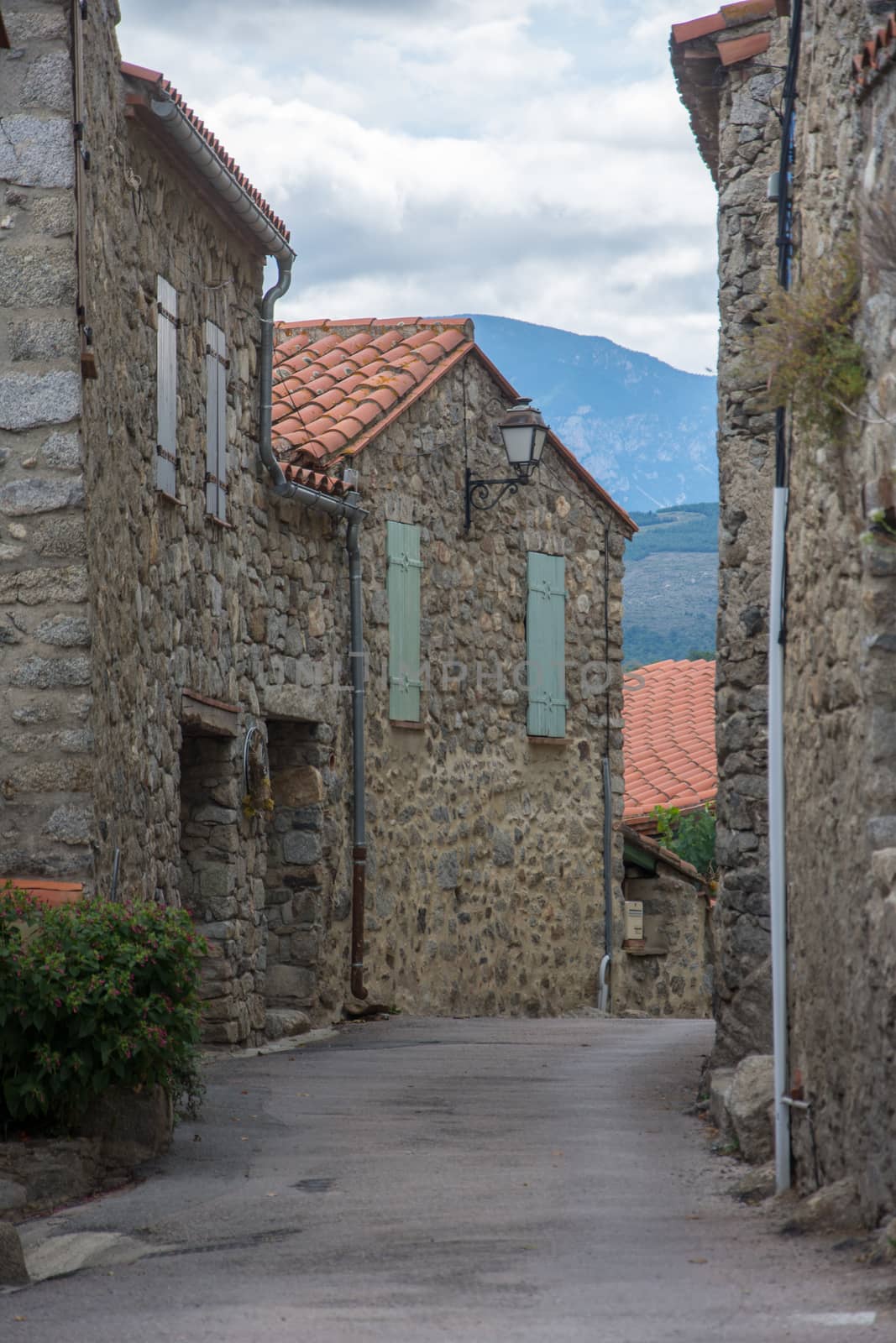 discovery of the eastern Pyrenes, its fauna and flora, region of France