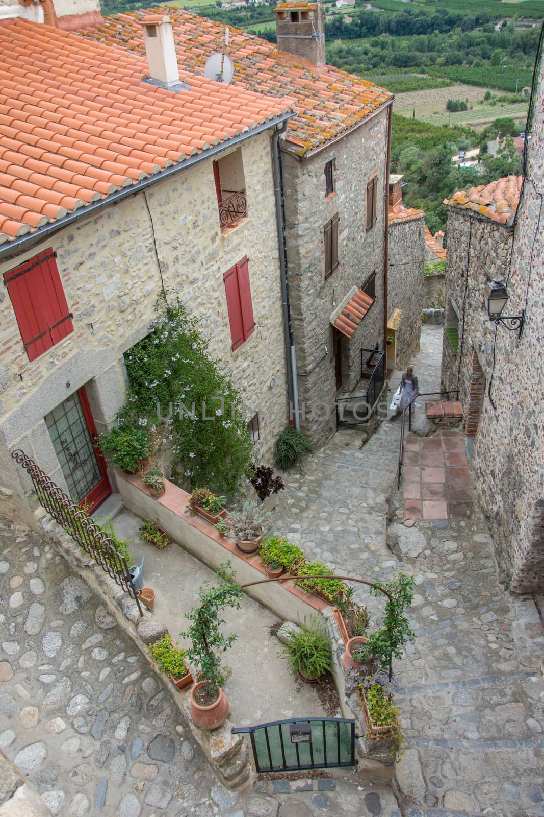 discovery of the eastern Pyrenes, its fauna and flora, region of France