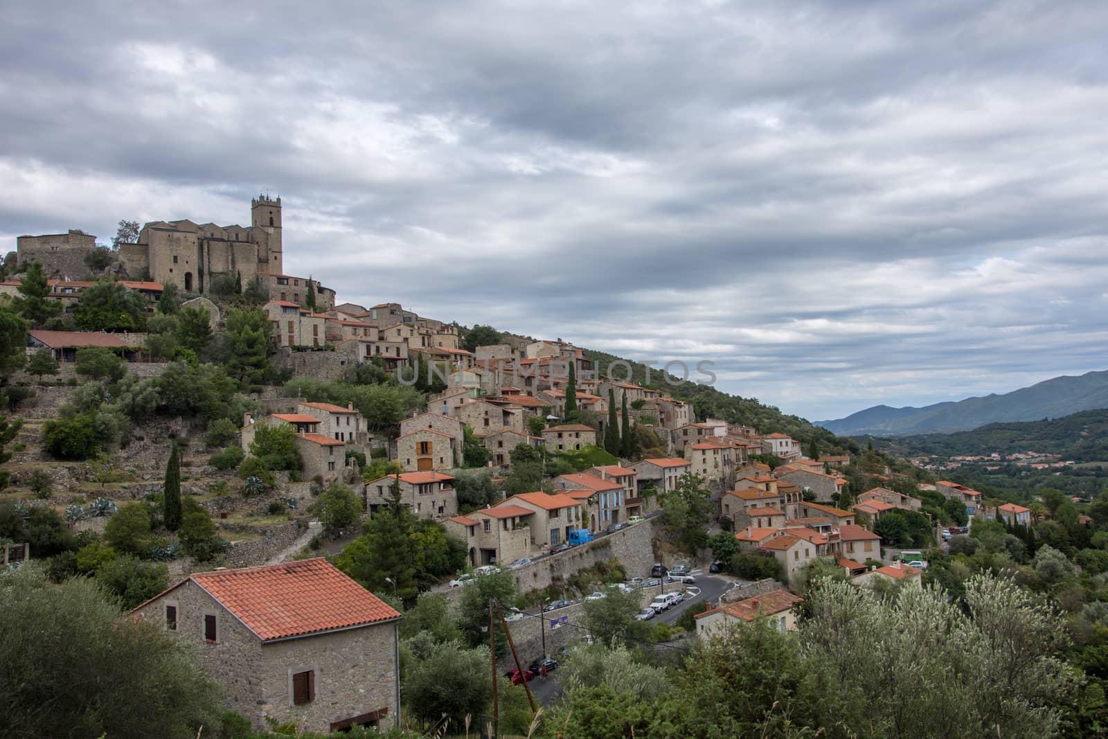 discovery of the eastern Pyrenes, its fauna and flora, region of France