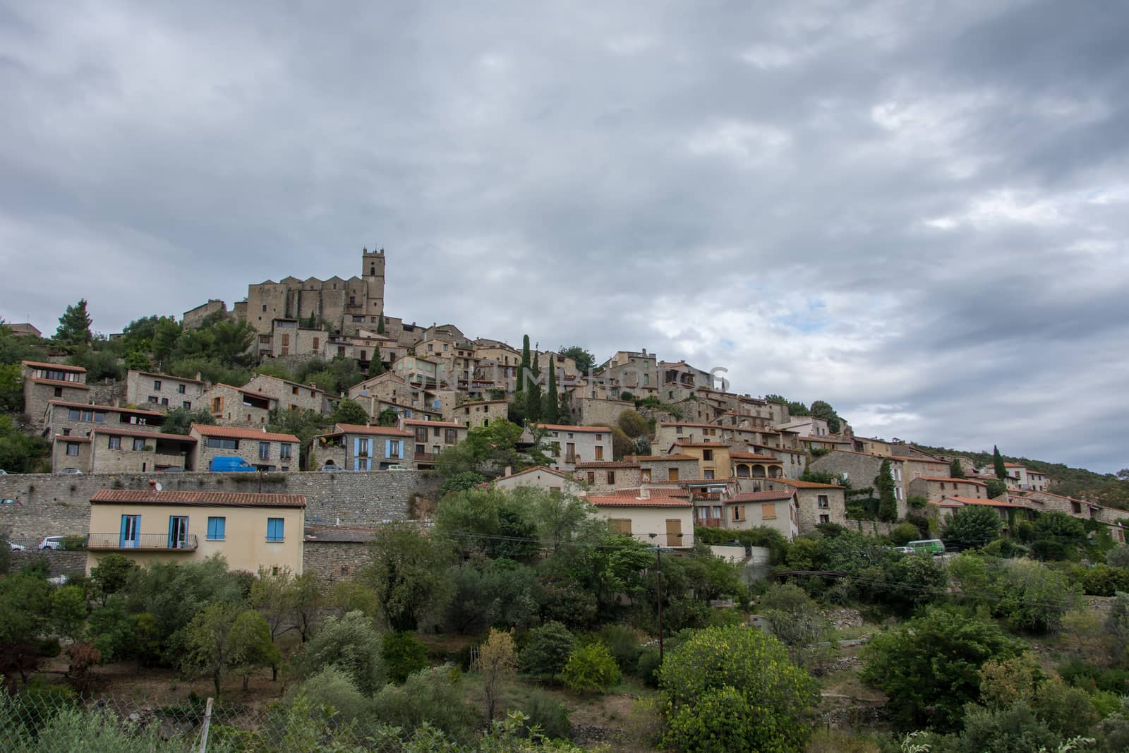 discovery of the eastern Pyrenes, its fauna and flora, region of France