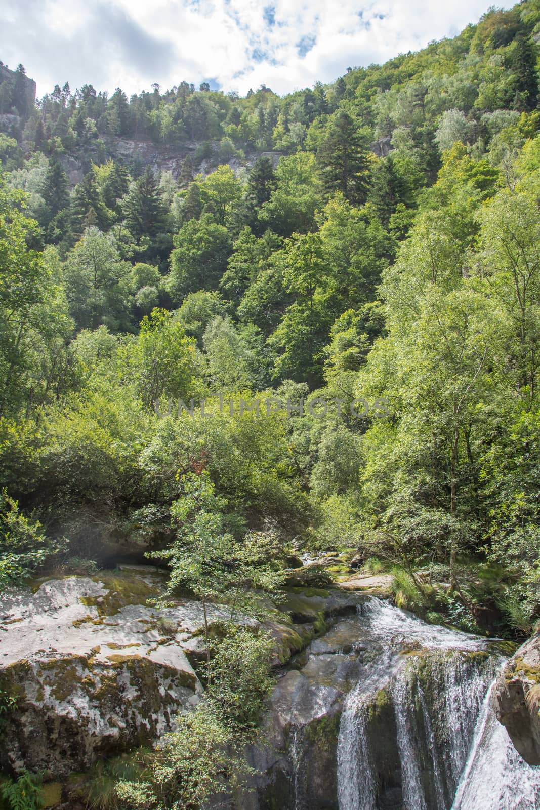 discovery of the eastern Pyrenes, its fauna and flora, region of France