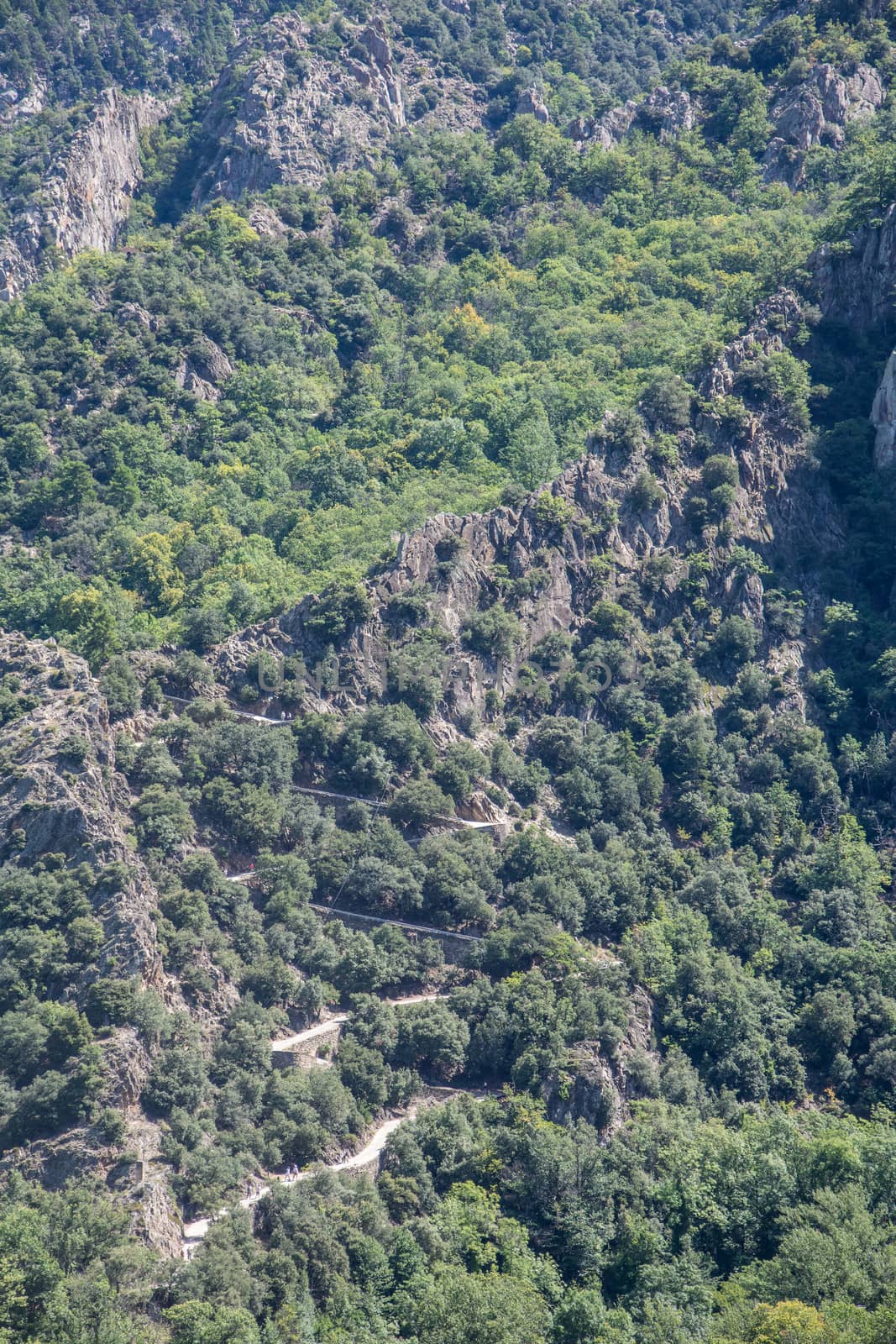 discovery of the fauna and flora of Pyrenes, France