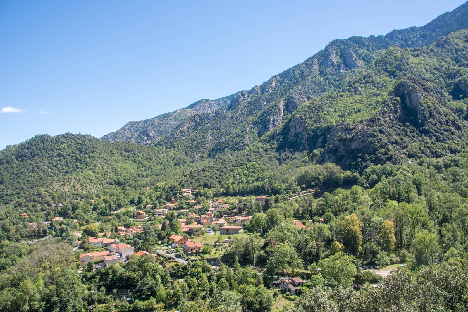 discovery of the fauna and flora of Pyrenes, France