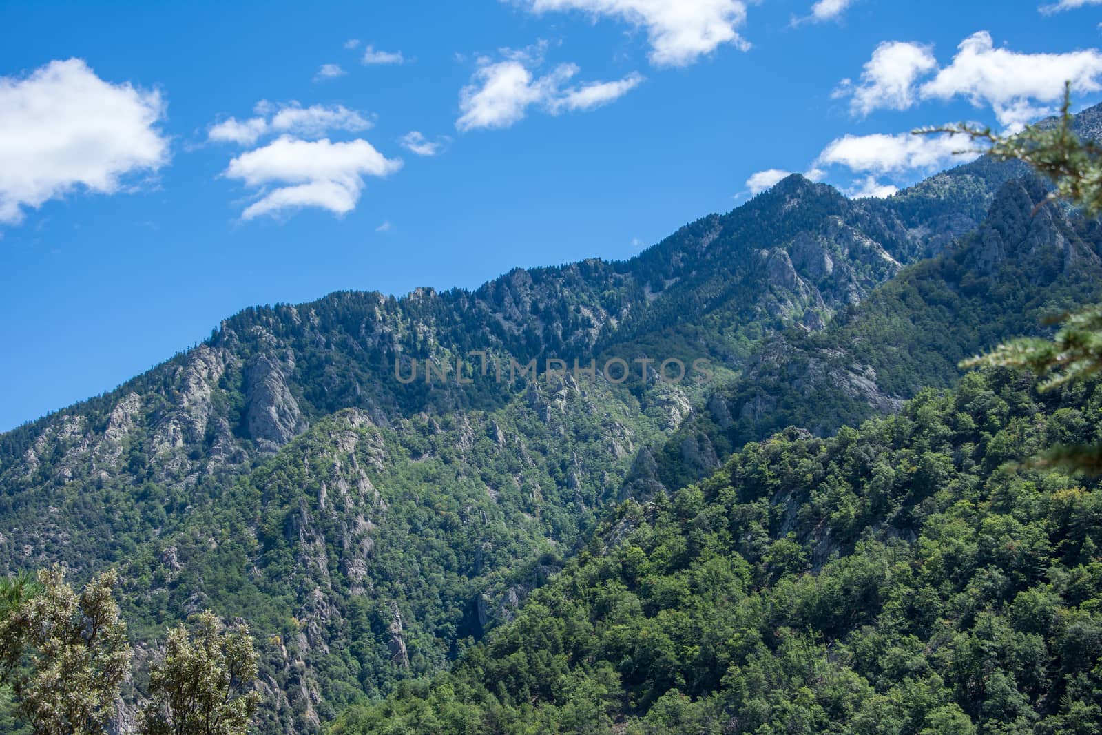 discovery of the fauna and flora of Pyrenes, France
