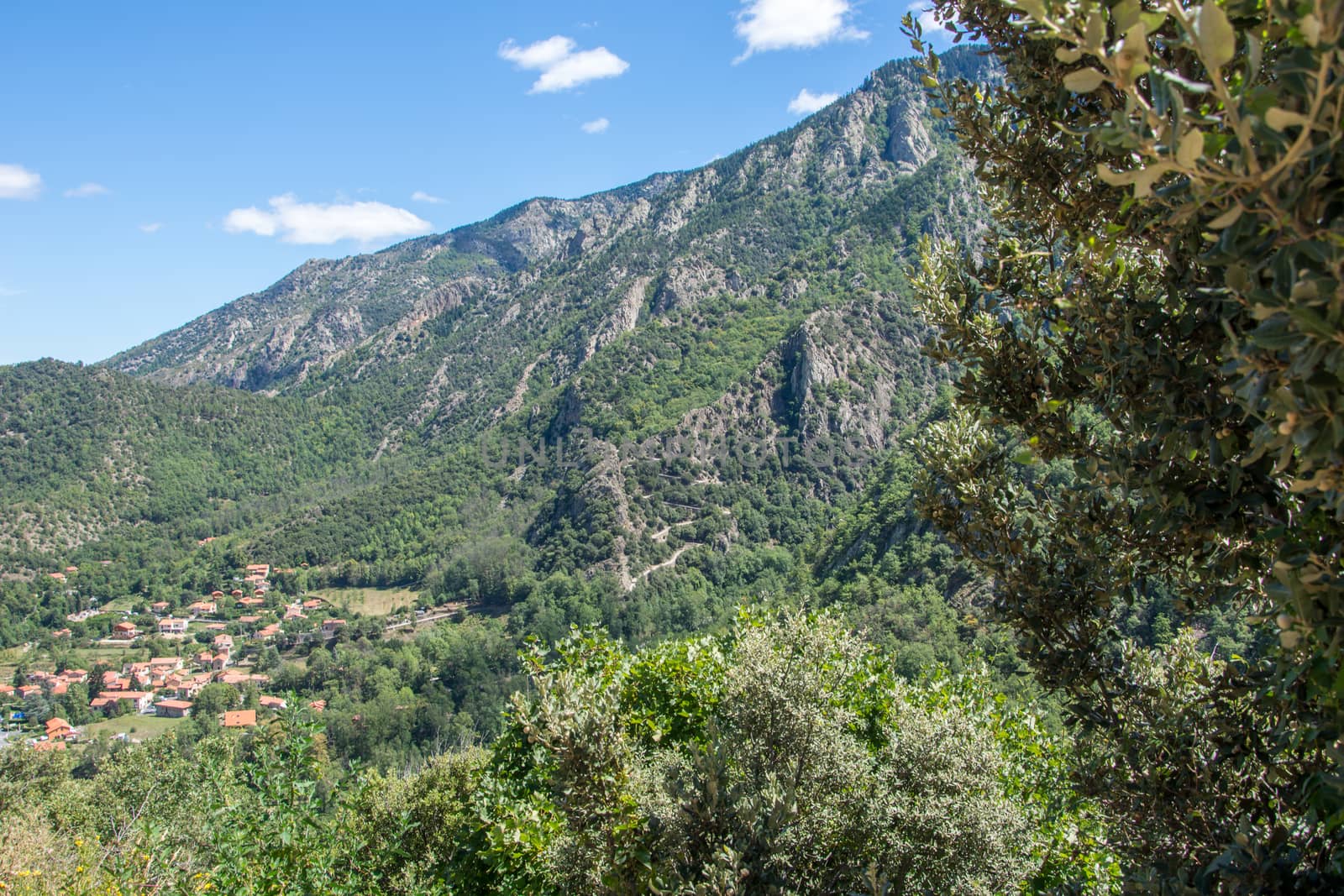 discovery of the fauna and flora of Pyrenes, France