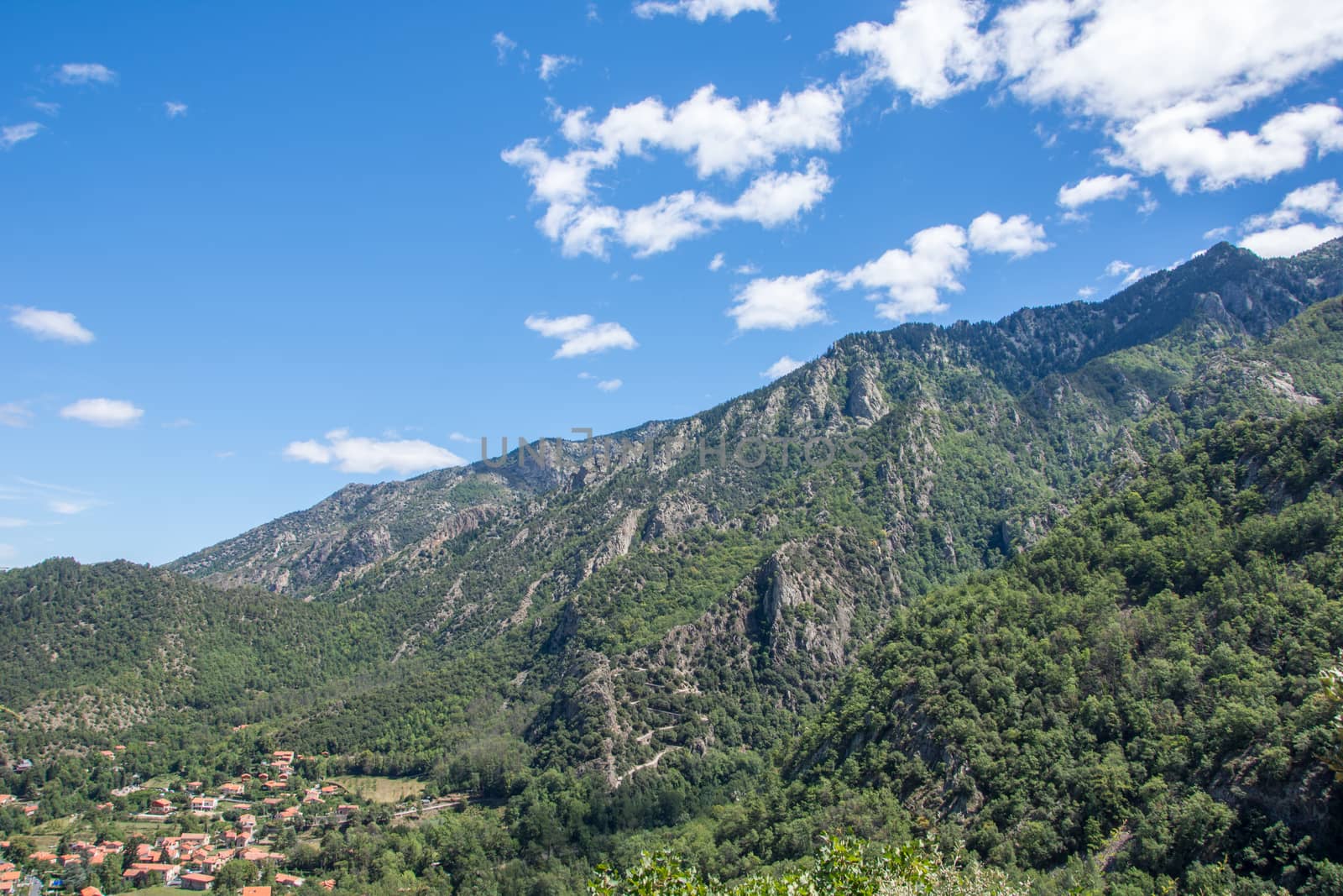 discovery of the fauna and flora of Pyrenes, France