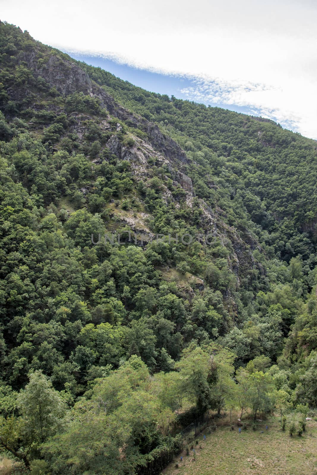 discovery of the eastern Pyrenes, its fauna and flora, region of France