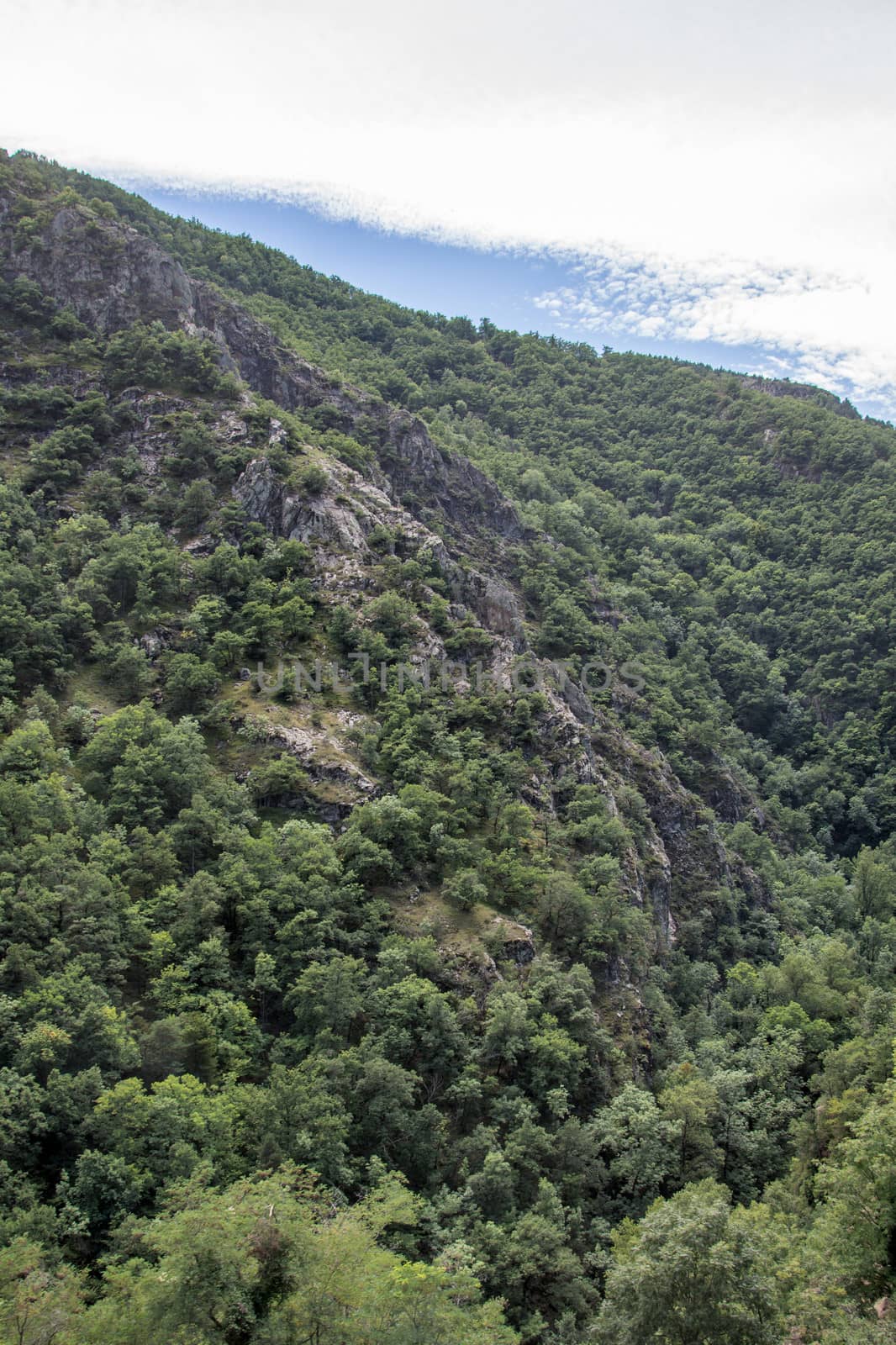 discovery of the eastern Pyrenes, its fauna and flora, region of France