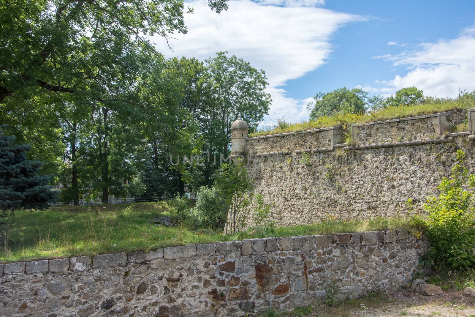 discovery of the eastern Pyrenes, its fauna and flora, region of France