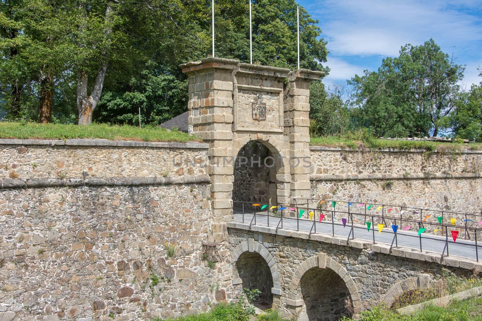 discovery of the eastern Pyrenes, its fauna and flora, region of France