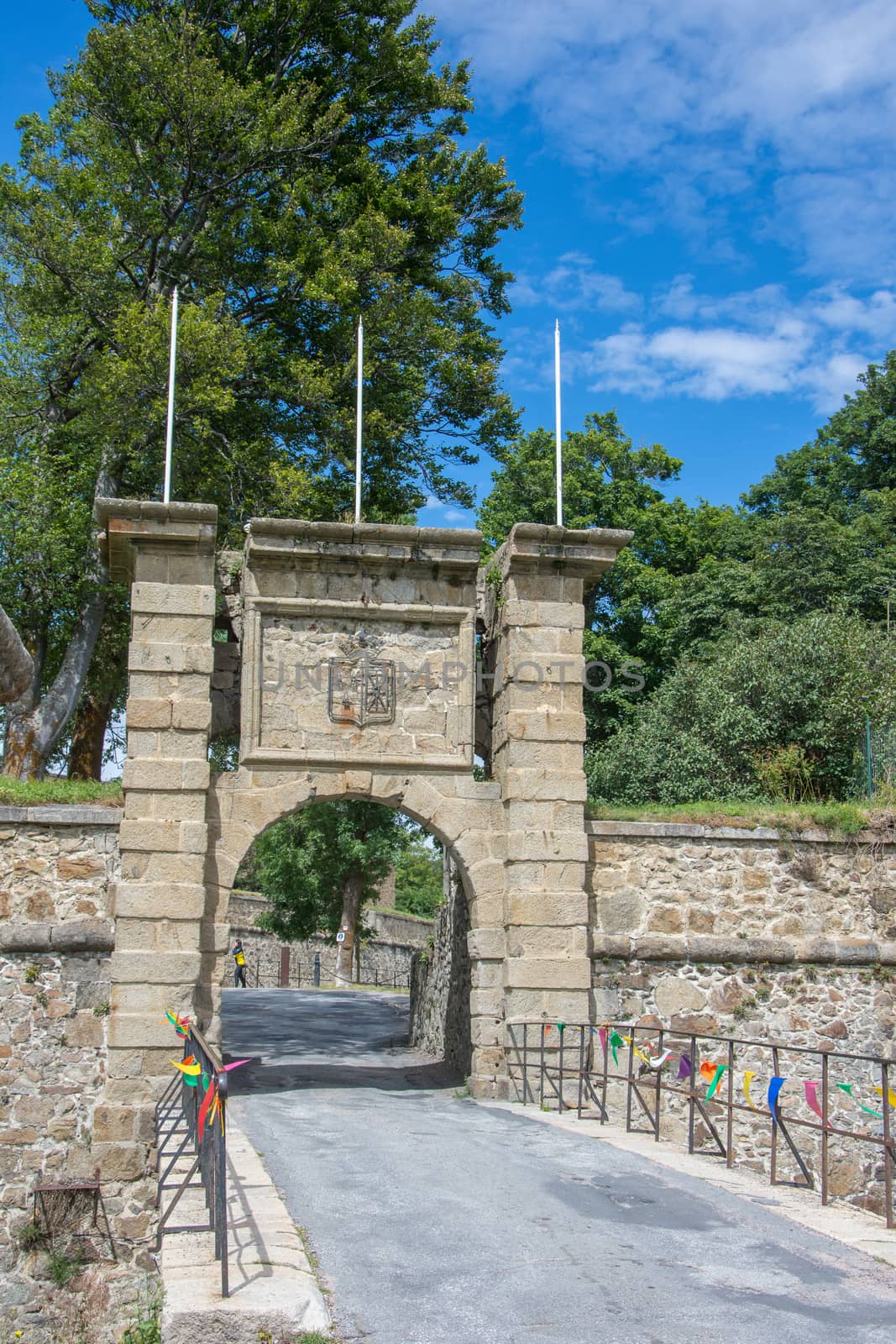 discovery of the eastern Pyrenes, its fauna and flora, region of France