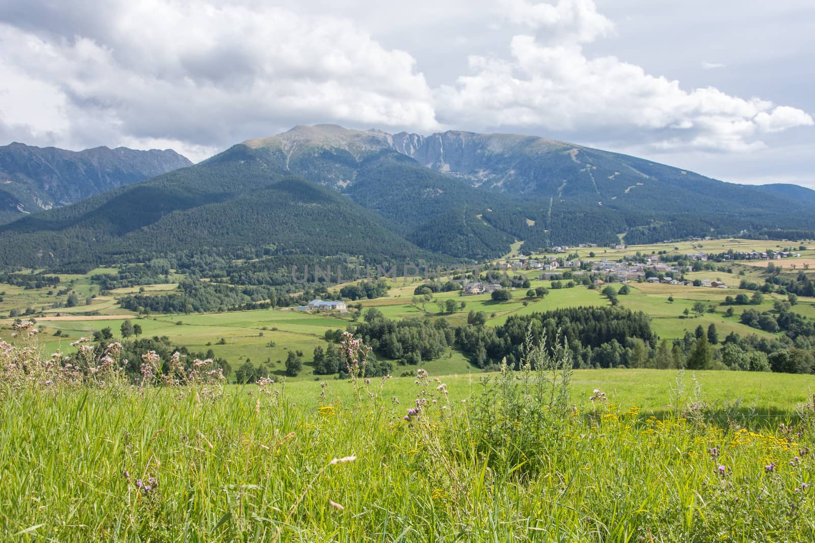 discovery of the eastern Pyrenes, its fauna and flora, region of France