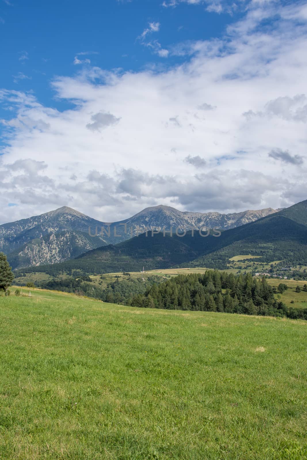 discovery of the eastern Pyrenes, its fauna and flora, region of France