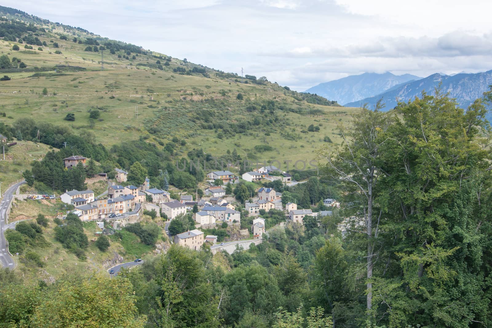 discovery of the eastern Pyrenes, its fauna and flora, region of France