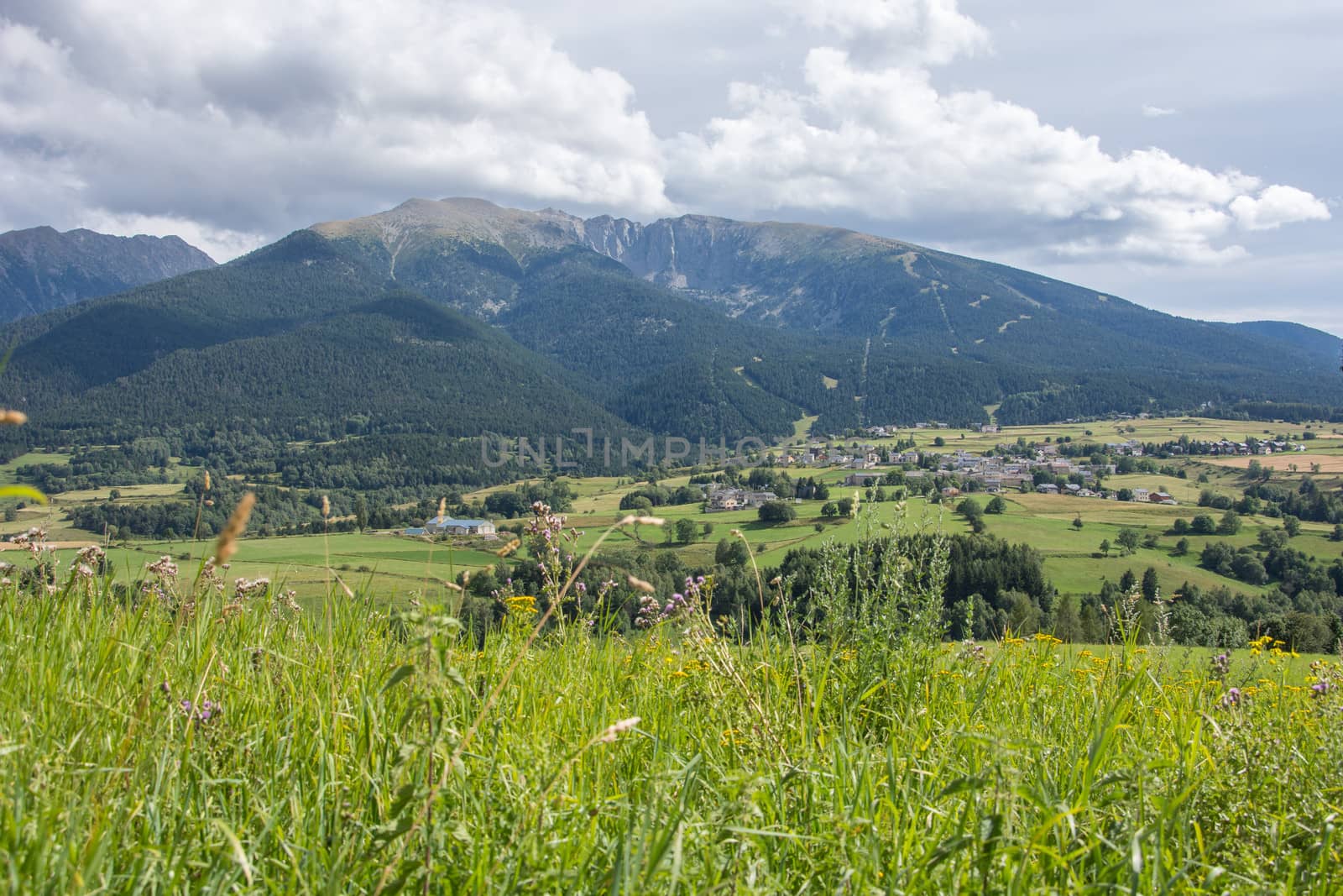 discovery of the eastern Pyrenes, its fauna and flora, region of France