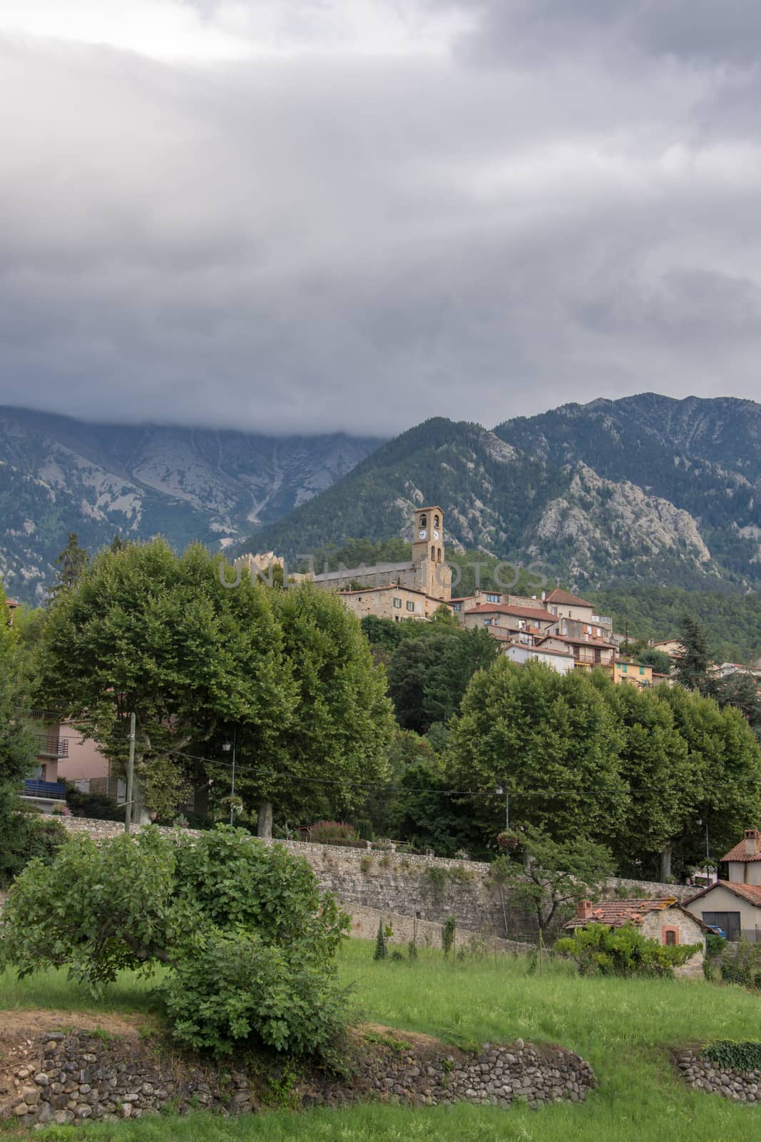 discovery of the eastern Pyrenes, its fauna and flora, region of France