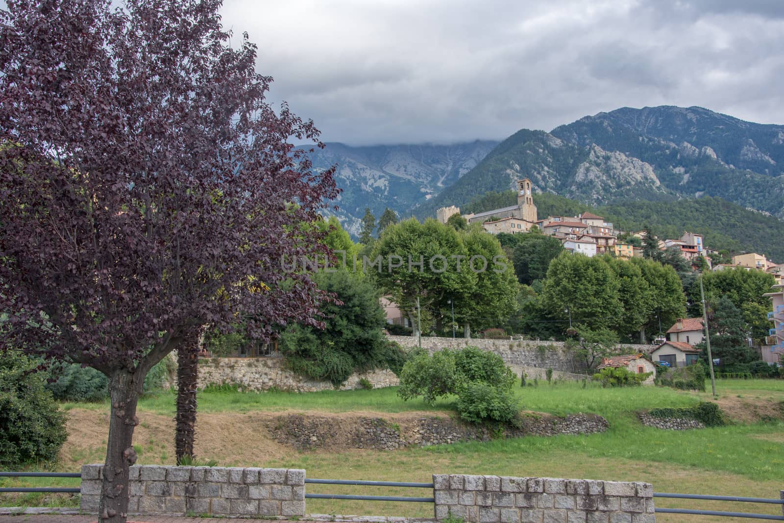 discovery of the eastern Pyrenes, its fauna and flora, region of France