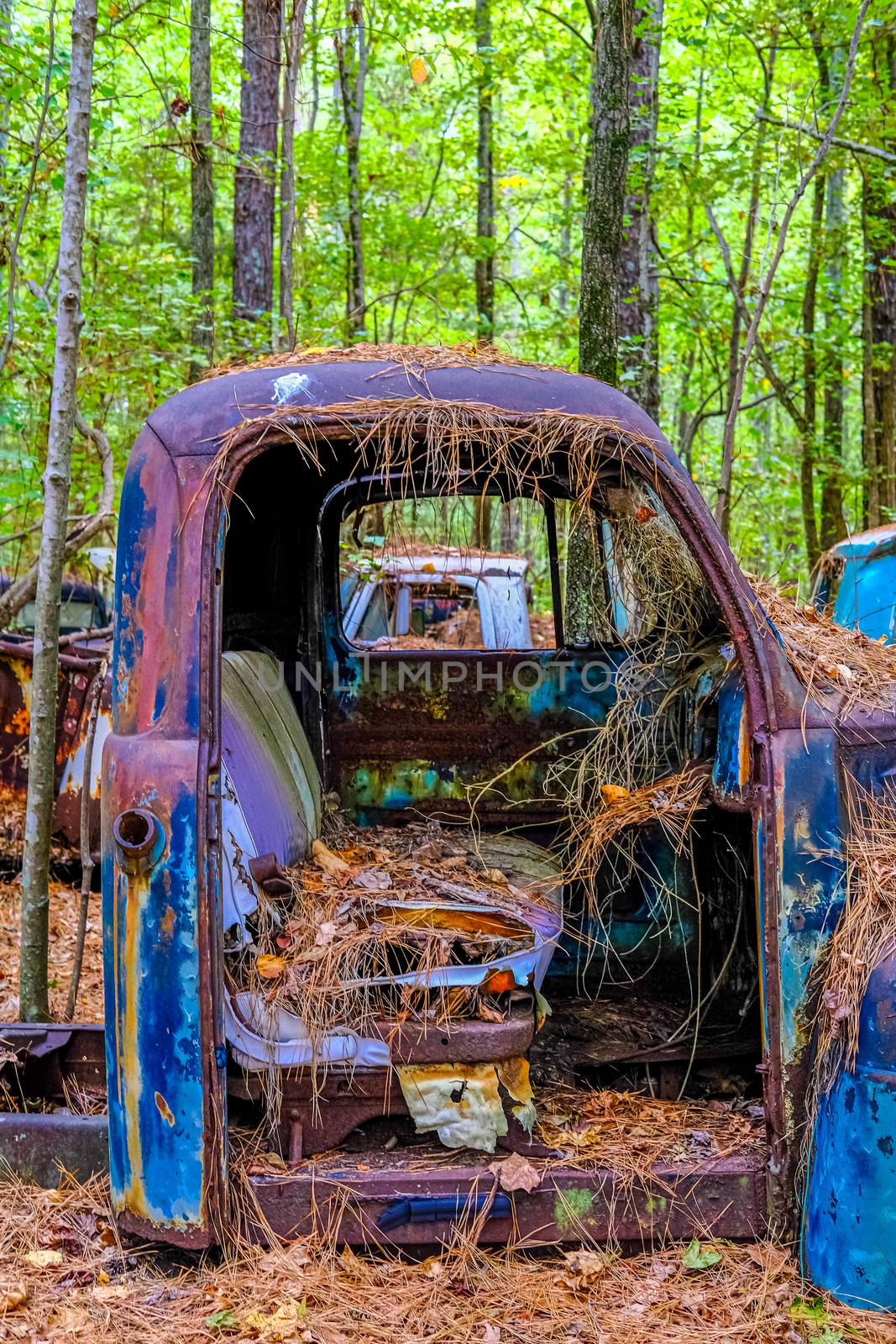 Inside an Old Truck by dbvirago