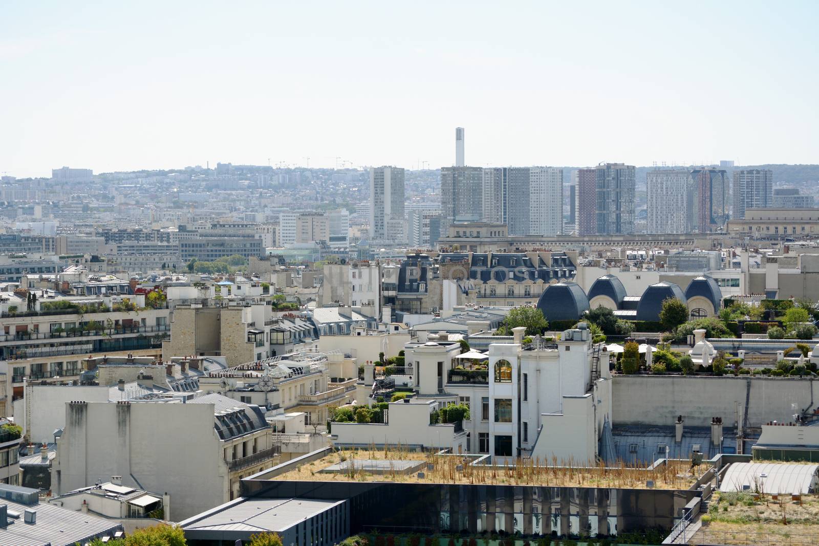 Paris cityscape with roof gardens with high-rise buildings and apartments beyond in the densely built French city