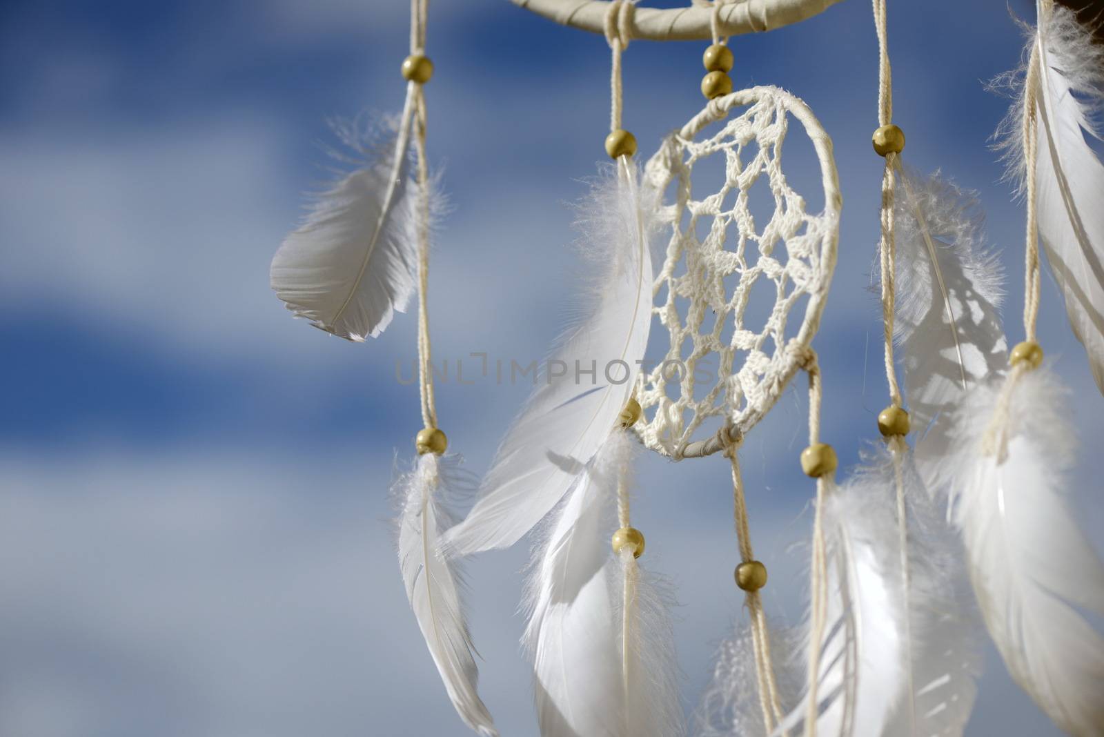 a Native american dream catcher moved by wind by Roman1030