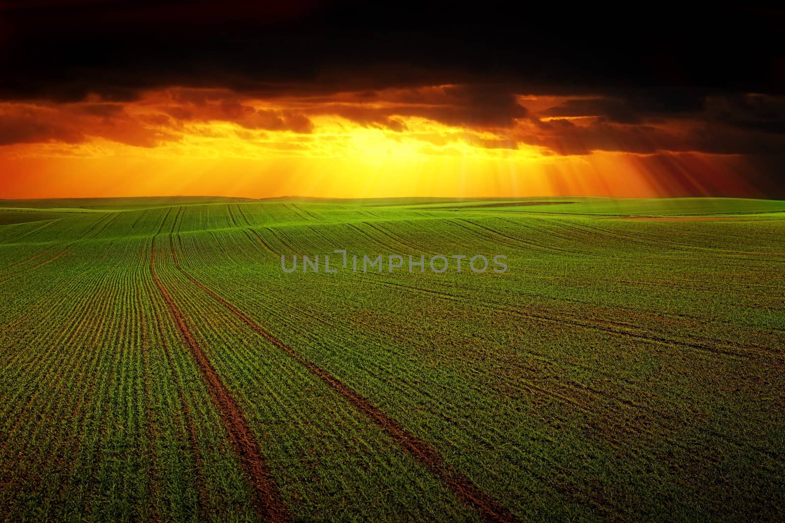 Storm dark clouds and light over field with green grass by Roman1030