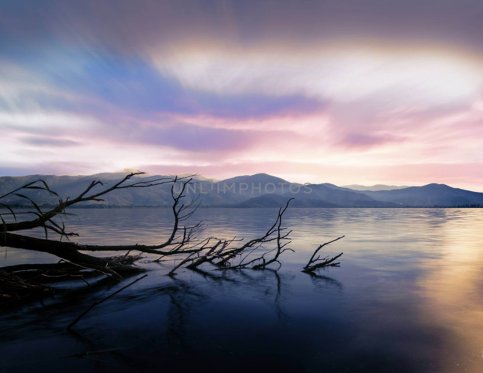 Trees in flooded water in Lake Maggiore after heavy rains, Northern Italy by Roman1030