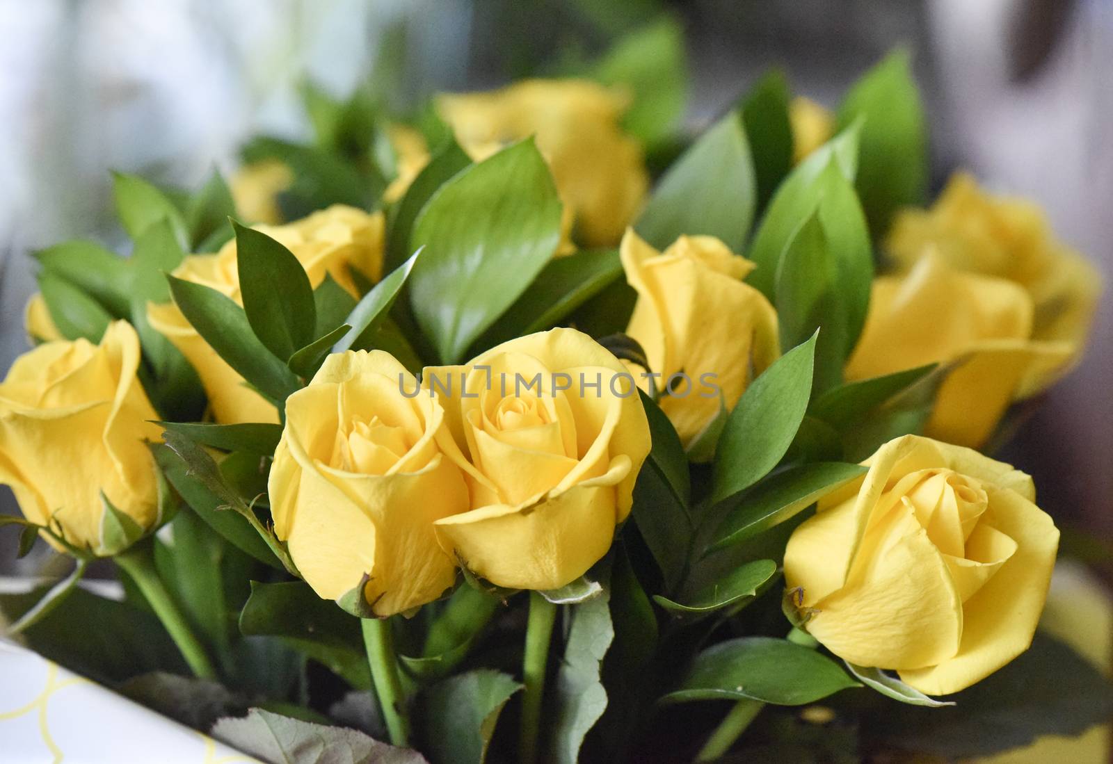 Bouquet of yellow roses, selective focus by yulia_sanatina
