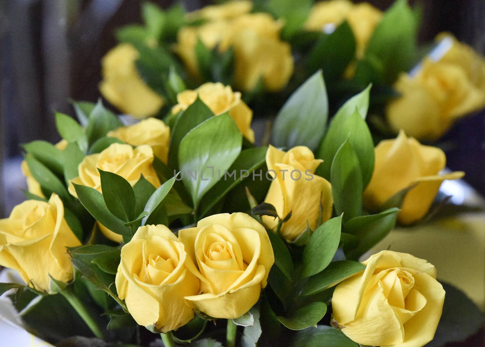 Bouquet of yellow roses, studio shot. Selective focus. Romance concept.