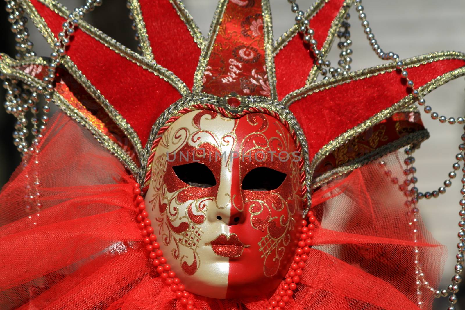 very beautiful mask and carnival makeup in Annecy by mariephotos