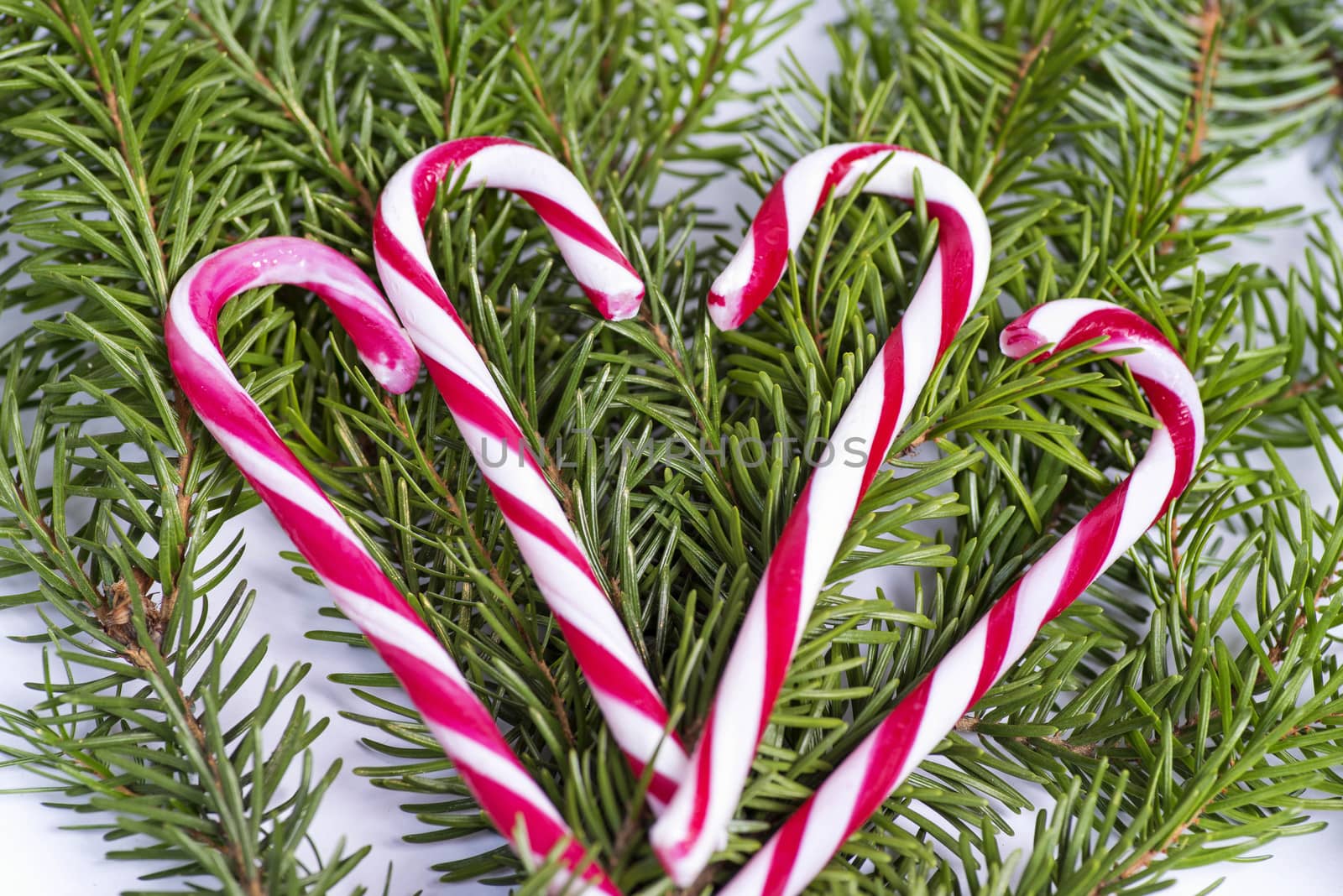Concept of christmas drink .Red and white candy canes .