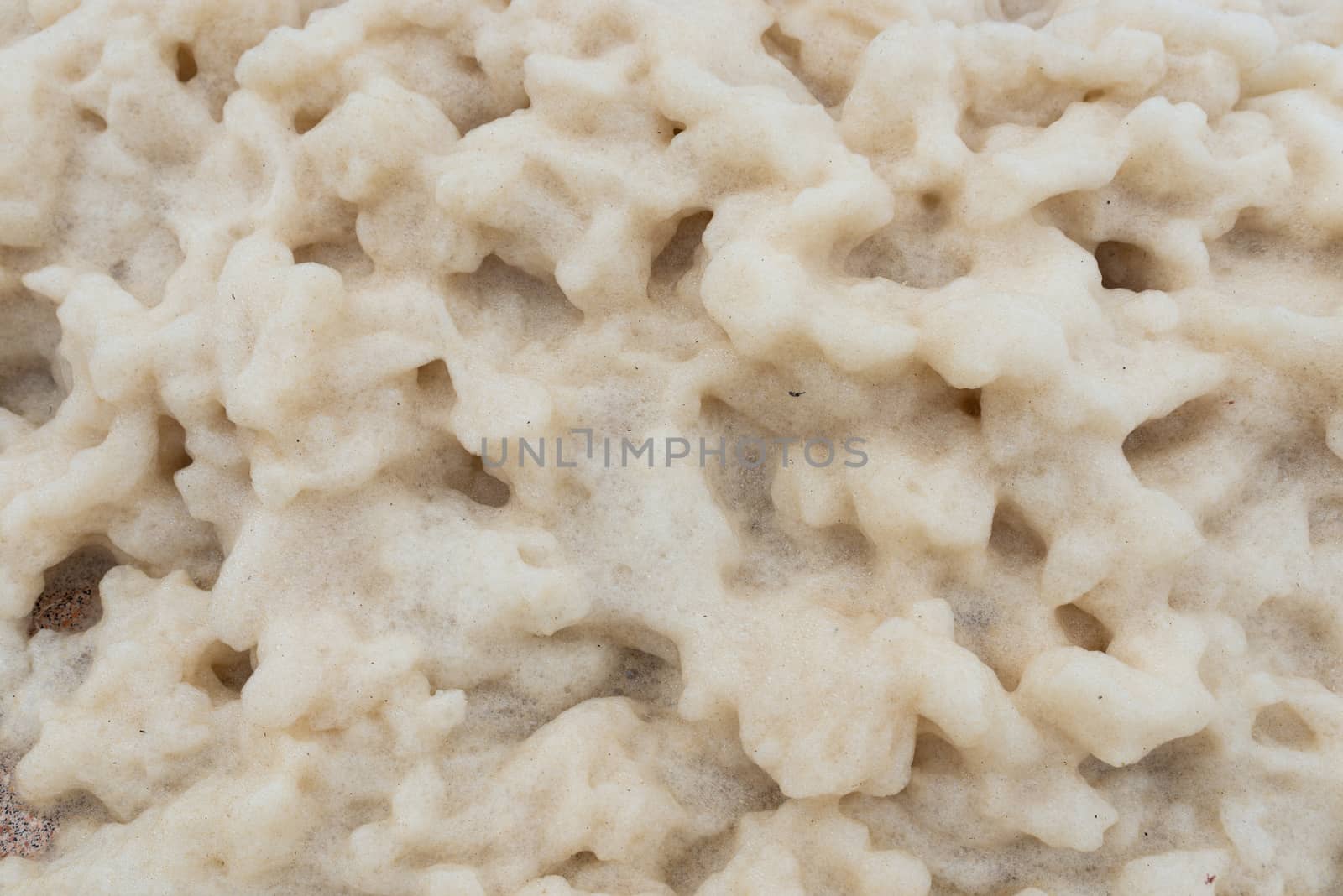 Closeup shot of foam on a beach. The foam can have natural reasons or can be a result of the sea water pollution.