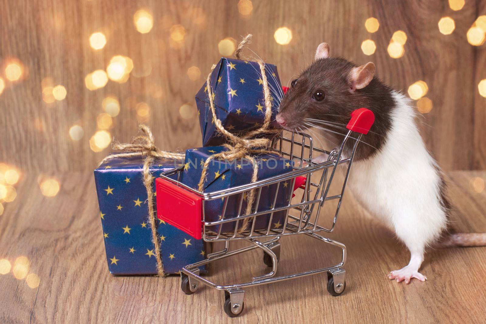 A Cute rat stands near a shopping cart with Christmas or New Year's gifts . New year shopping concept.Symbol of the year 2020. Year of the rat.