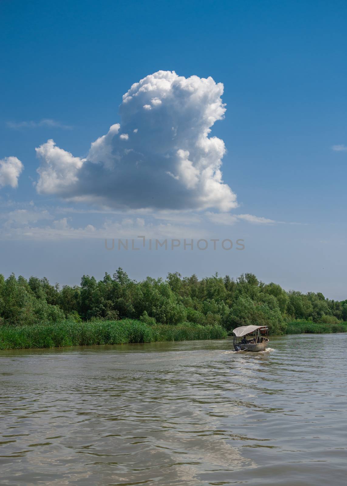 Danube River near the village of Vilkovo, Ukraine by Multipedia