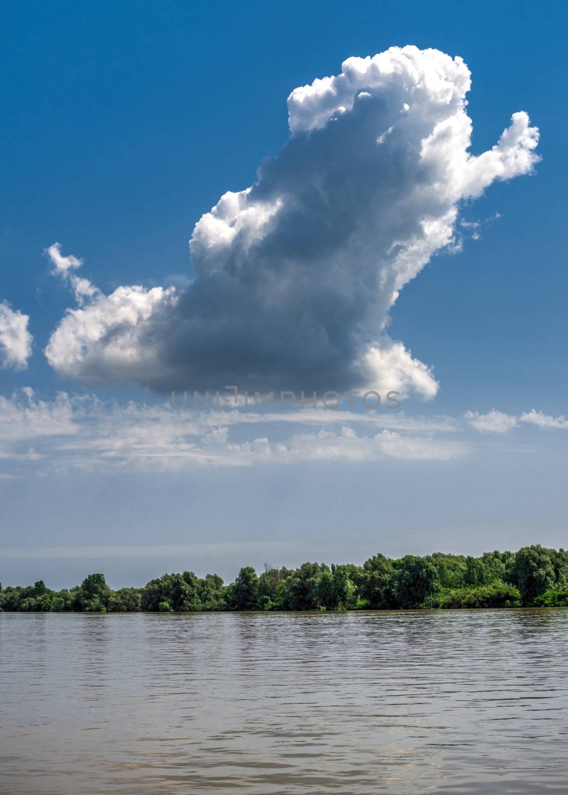 Danube River near the village of Vilkovo, Ukraine by Multipedia