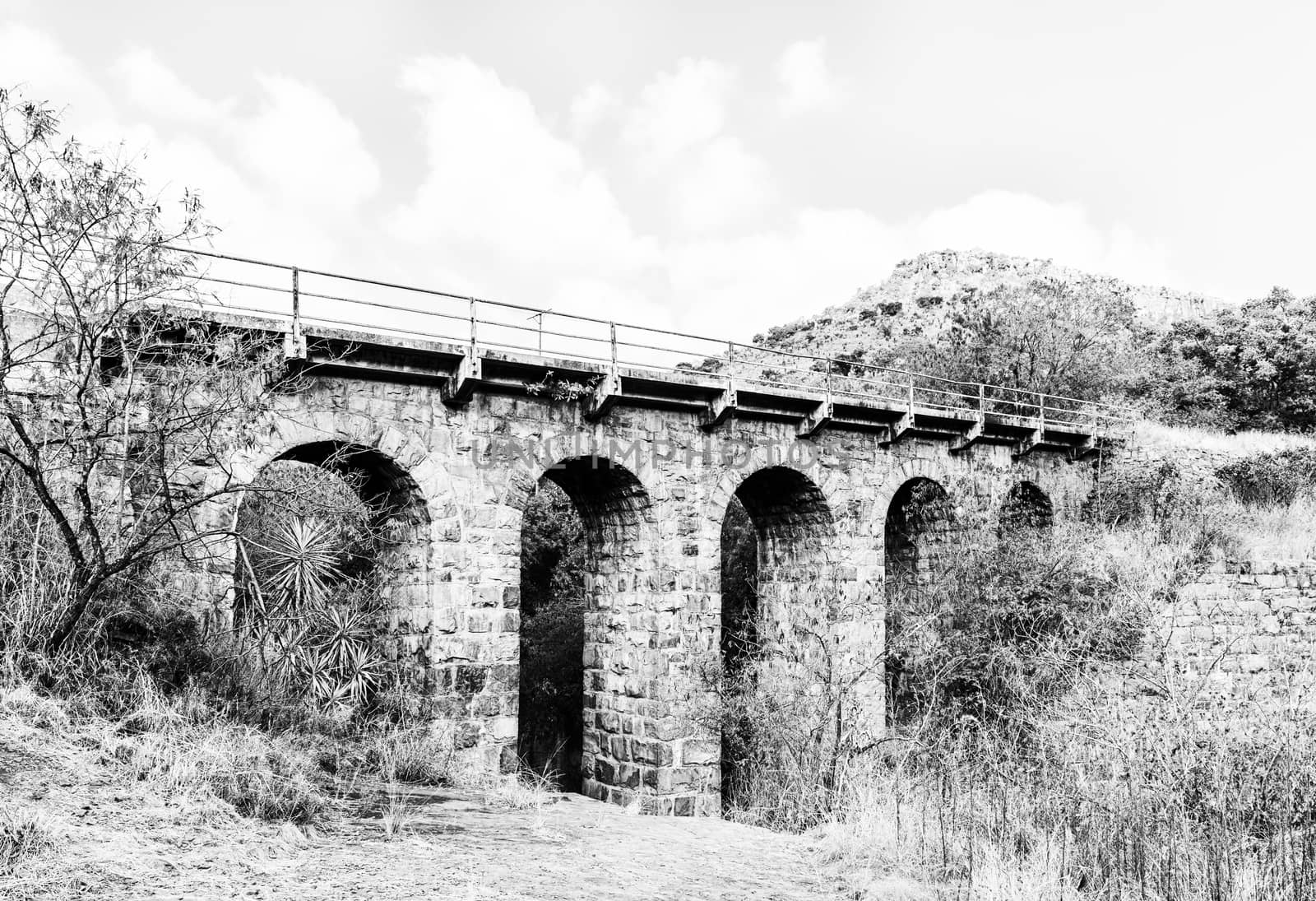 Historic Five Arch Railway Bridge near Waterval Boven. Monochrom by dpreezg