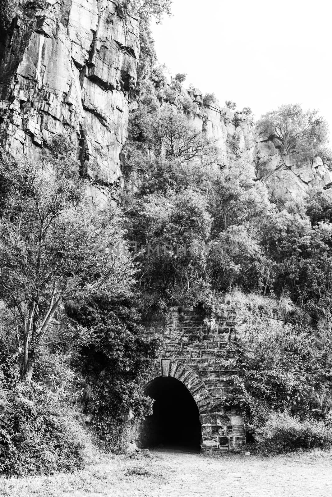 Eastern side of historic railroad tunnel at Waterval Boven. Mono by dpreezg