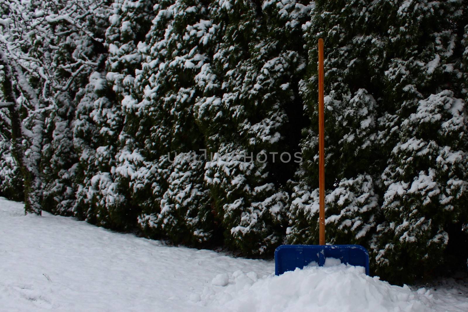 snow shovel in the snow by martina_unbehauen