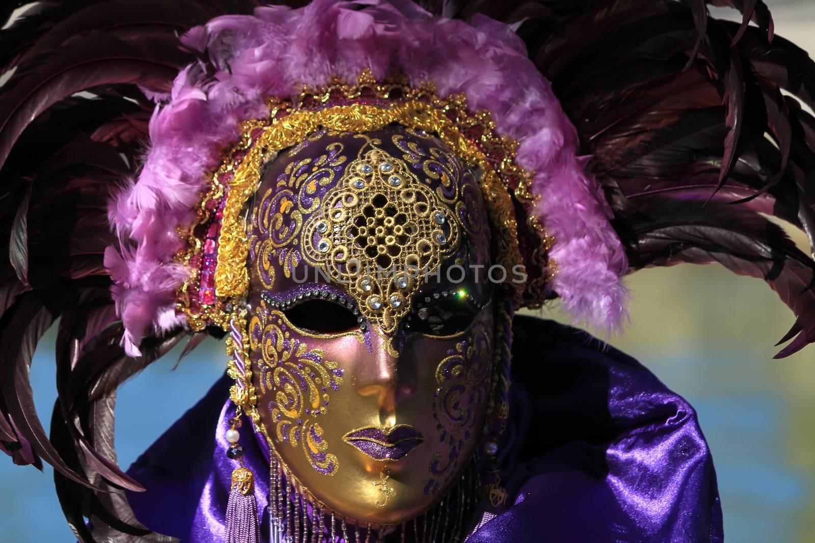 very beautiful mask and carnival makeup in Annecy France