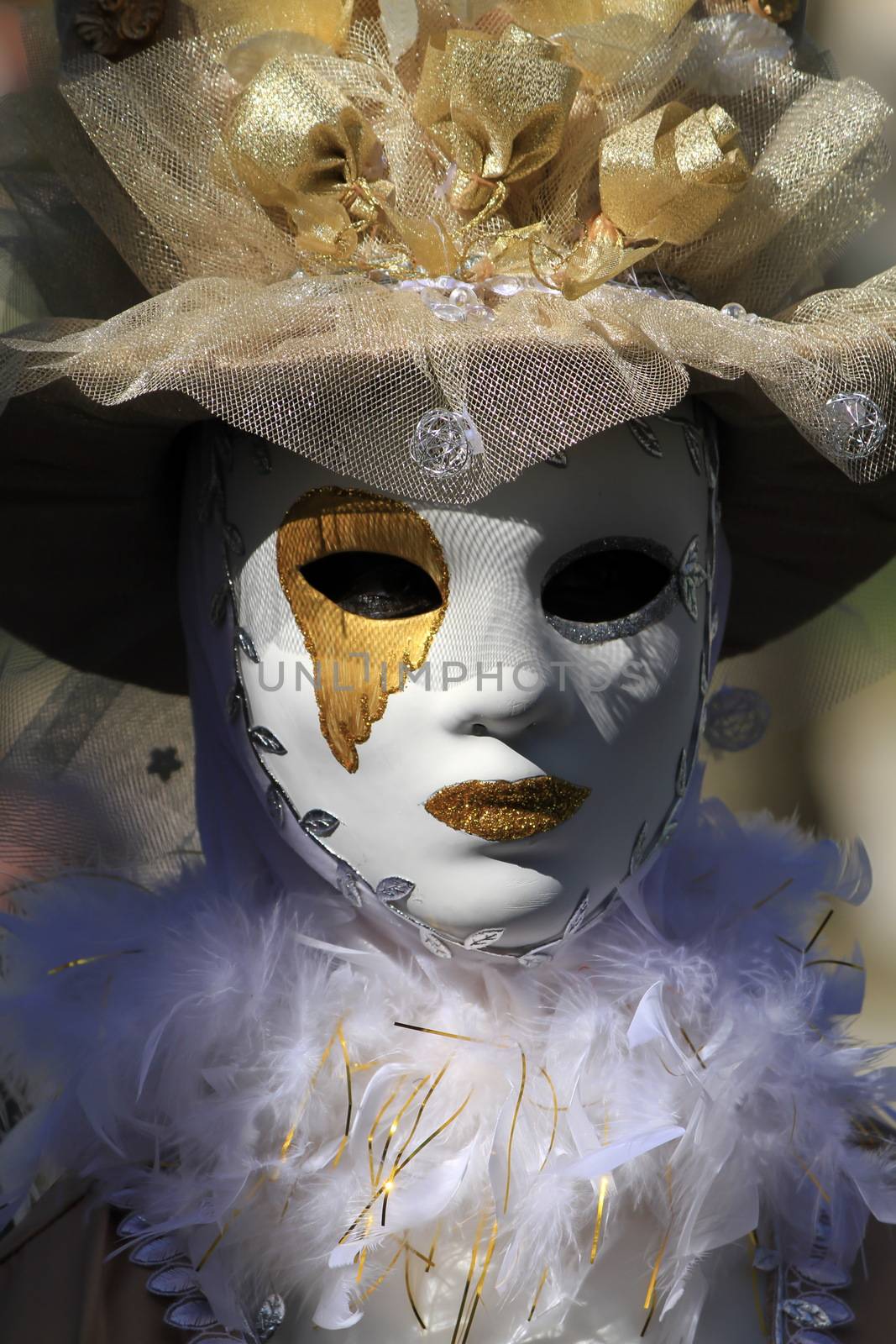 very beautiful mask and carnival makeup in Annecy by mariephotos