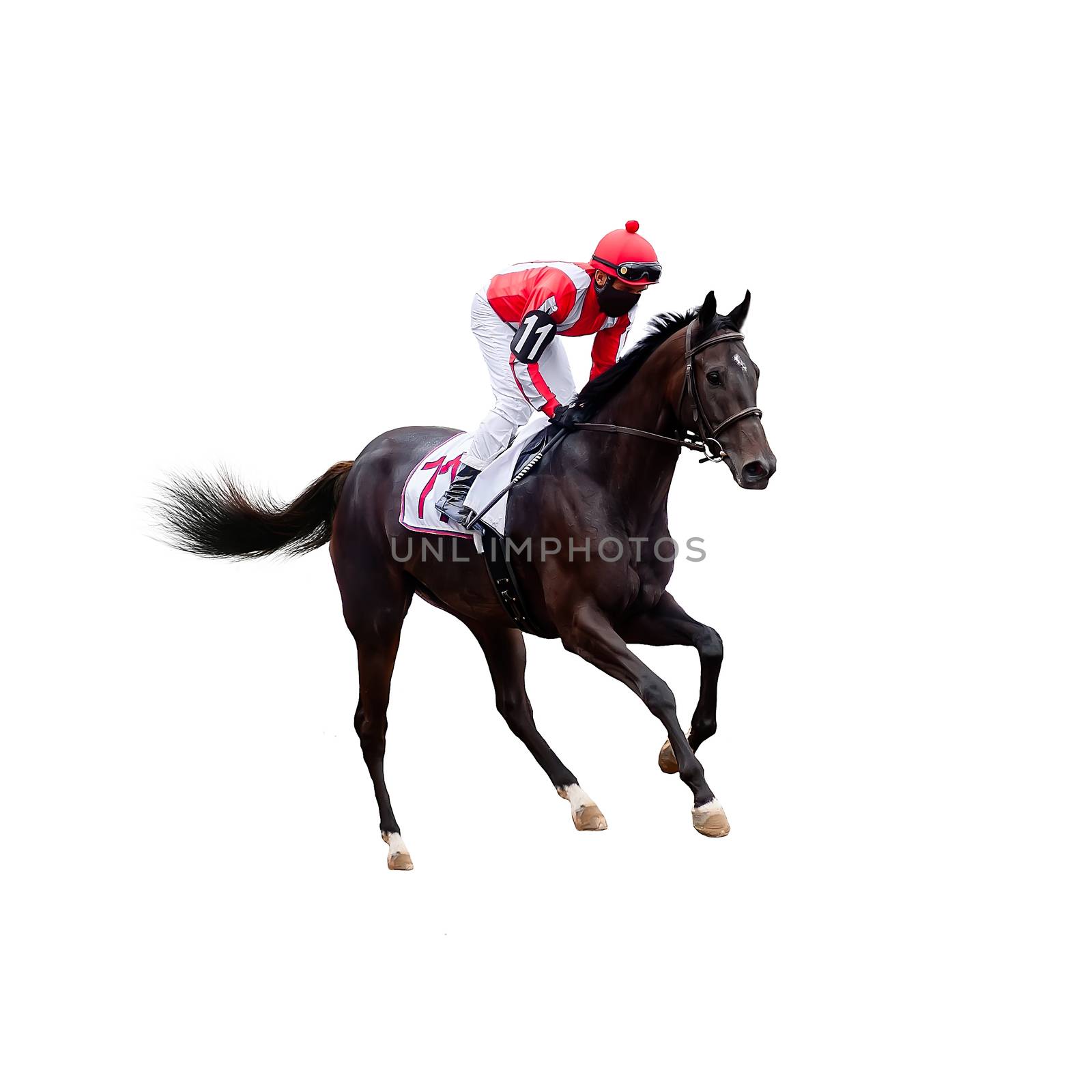 Racing, background, horses, racetrack isolated on white background