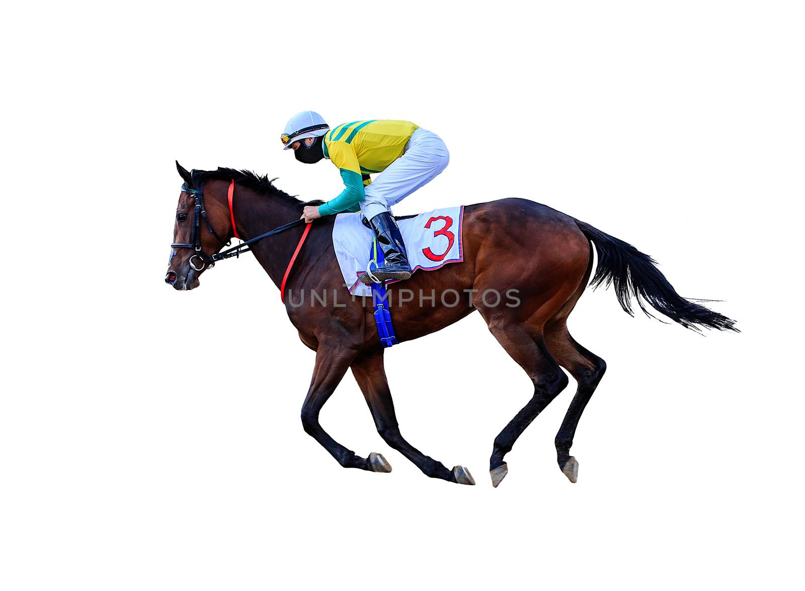 horse jockey racing isolated on white background