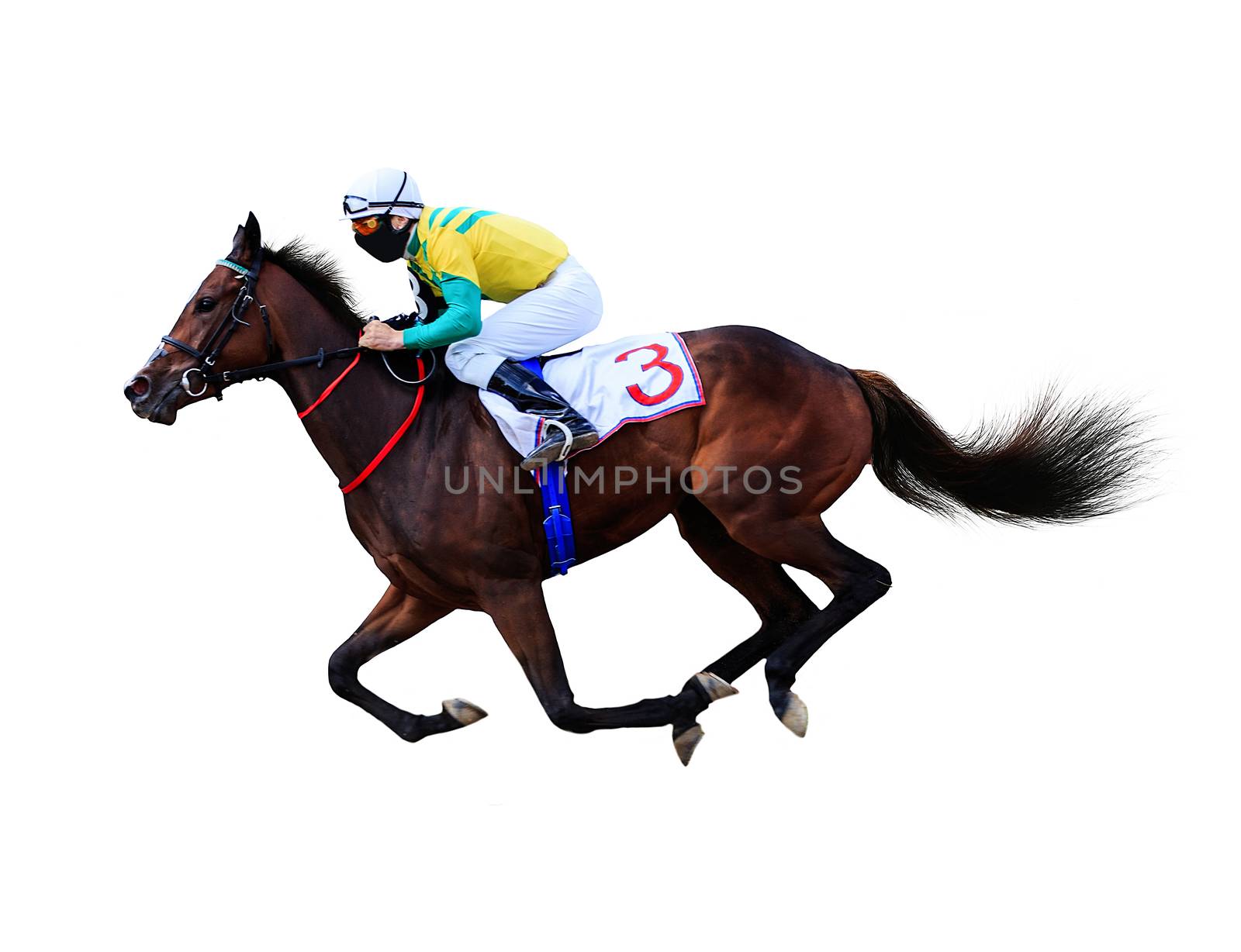 horse jockey racing isolated on white background by dikkens