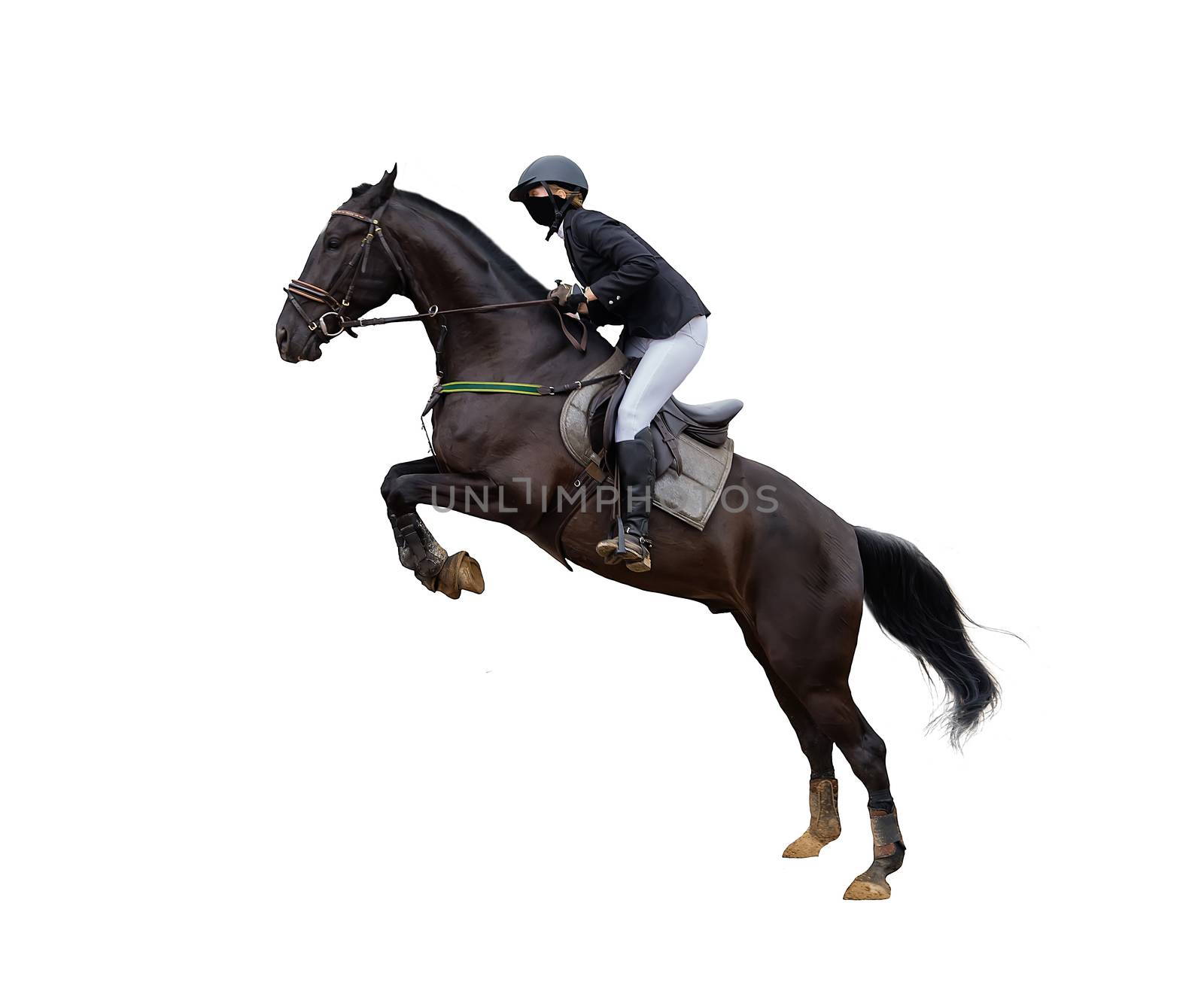 horse racing jockey isolated on white background jumping competition by dikkens